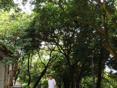 -白云山风景名胜区