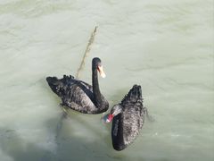 -东钱湖小普陀景区