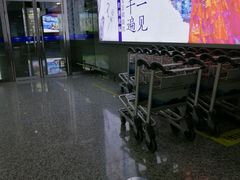 -张家界荷花国际机场