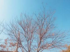 -无忧学车·华茂基地(宝山校区)