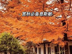 -四明山国家森林公园
