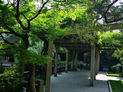 -复旦大学附属华山医院(总院)