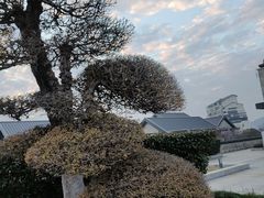 -苏州太湖国际会议中心