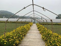 -普迪生态园