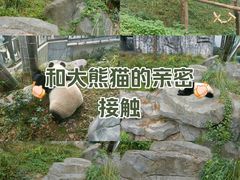 -红山森林动物园