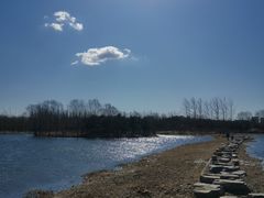 -大兴滨河森林公园