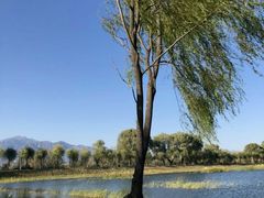 景点-野鸭湖国家湿地公园