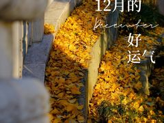 -九华山公园
