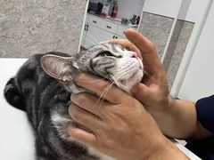 -良伴无忧宠物医院(泰欣嘉园店)