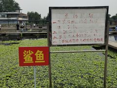 -特种渔场