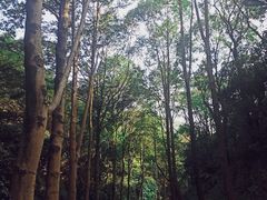 -广州市白云山风景名胜区