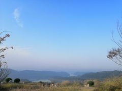 -仙海旅游度假区