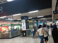 -大剧院(地铁站)