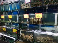 水产区-蚝专家(北滘店)