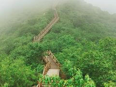-大岭沟猕猴桃谷风景区