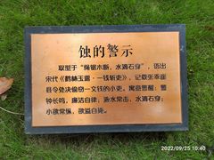 -陈家山荷花公园