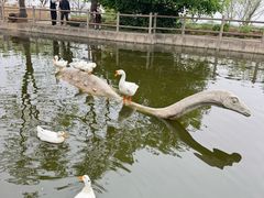 -盛世牡丹苑生态文化旅游区