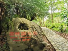 -中国科学院西双版纳热带植物园
