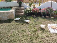 -HERRE·FARM 赫尔露营农场·团建聚会包场