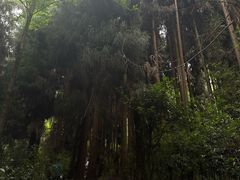-太阳湾风景区