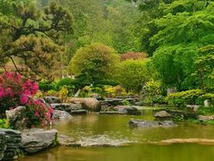 -东莞植物园