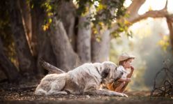 -小熊维尼高端儿童摄影(宝安旗舰店)