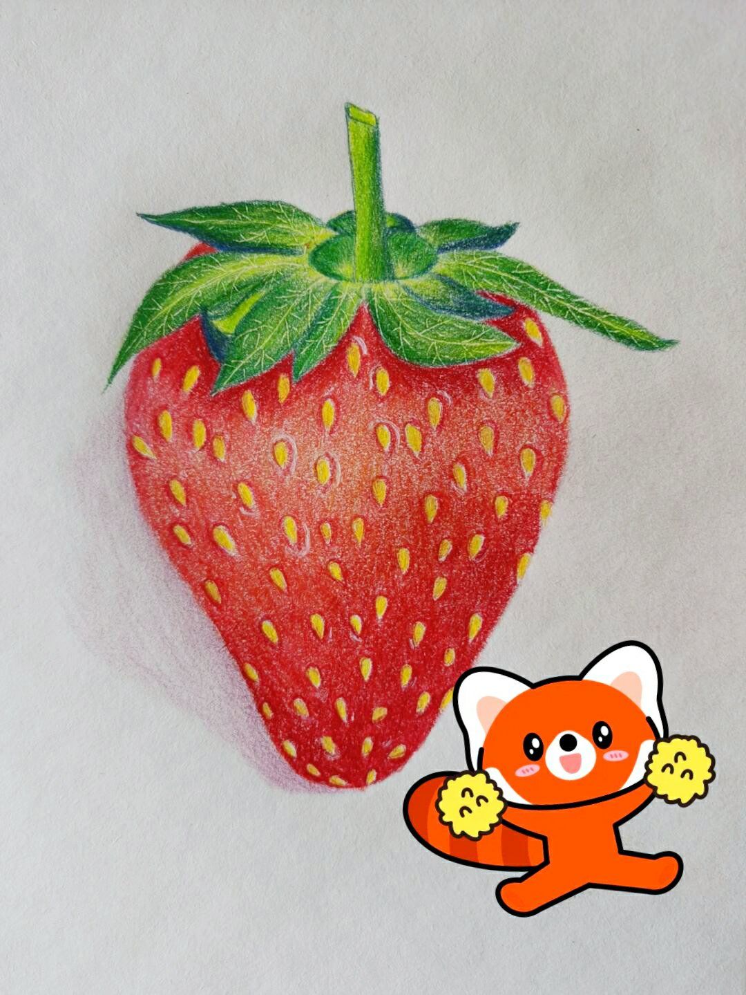 彩铅画出的草莓,比真果还诱人!