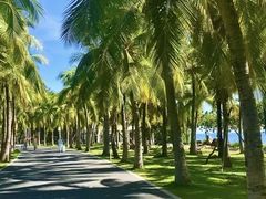 -三亚西岛海洋文化旅游区