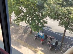 -刘胖子家常菜·蹄花焖藕(兴业店)