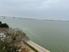 -大湾区中央湿地公园