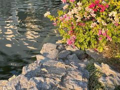 -惠州西湖风景名胜区-丰渚园