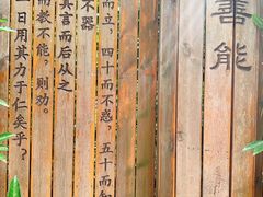 -韩湘水博园