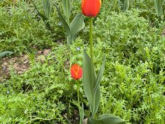 -浙江大学(玉泉校区)