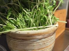 -牛村来人潮汕牛肉火锅(西单店)