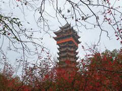 -塔子山公园