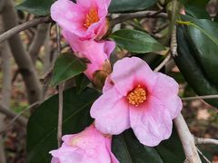 -杭州西湖风景名胜区-钱祠表忠