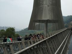 -福道