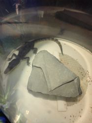 -酷嗒动物文化乐园(cutezoo西溪乐天城店)