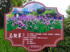 -厦门园林博览苑