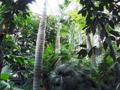 -祥源·阜阳生态乐园