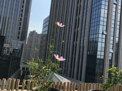 -瓦库茶馆17号(海汇港店)