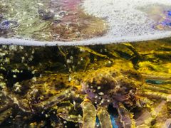 -蟹之国·精品蟹料理(极地店)