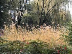 -西安市长乐公园