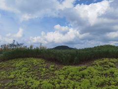 -三岔湖景区