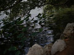 -东湖落雁景区