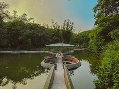 -世间香境·七溪地