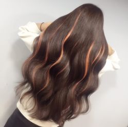 -MYCOLORHARSALON