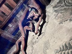 -张掖大佛寺景区