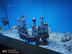 -北戴河圣蓝海洋公园