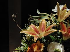 -富力丽思卡尔顿酒店·丽轩中餐厅